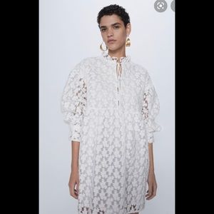 Zara Textured Embroidered Open Weave Mini Dress